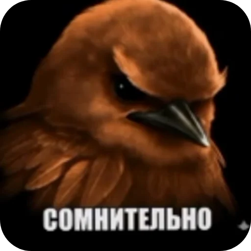 🖼 Стикер «Мемесы.» для Telegram