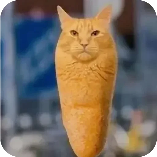 🐱 Стикер «Мемесы.» для Telegram