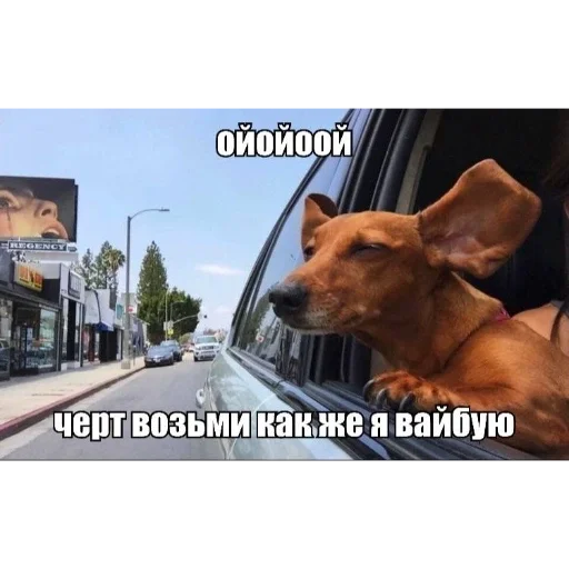 🤗 Стикер «Мемность» для Telegram