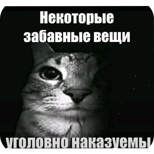 🖼 Стикер «Мемность» для Telegram