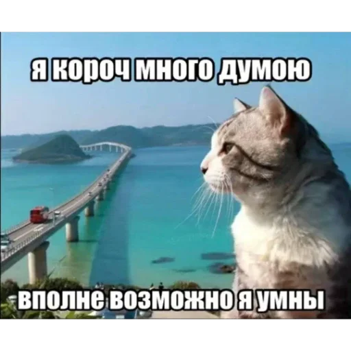 🙂 Стикер «Мемность» для Telegram