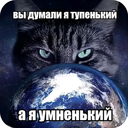 🐱 Стикер «Мемность» для Telegram