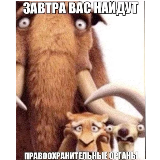😳 Стикер «Мемность» для Telegram