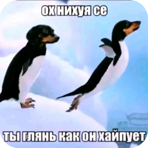🐦 Стикер «Мемность» для Telegram