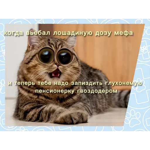 😵‍💫 Стикер «Мемность» для Telegram