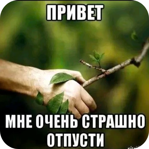 🤝 Стикер «Мемность» для Telegram