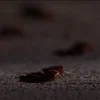 Стикер 52 Люди В Черном