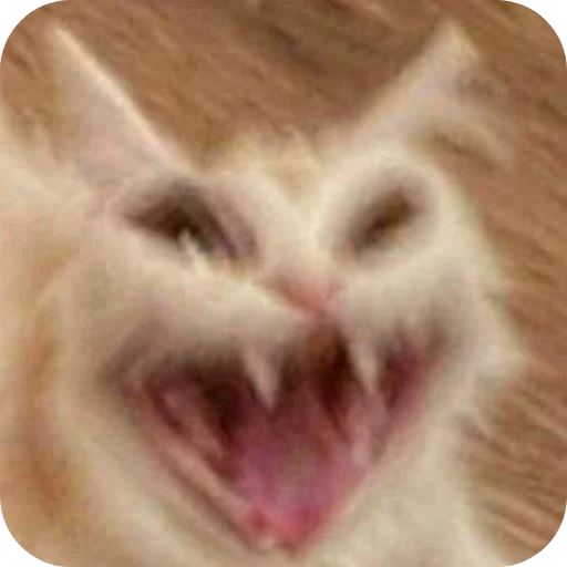 👍 Стикер «Meow fun» для Telegram