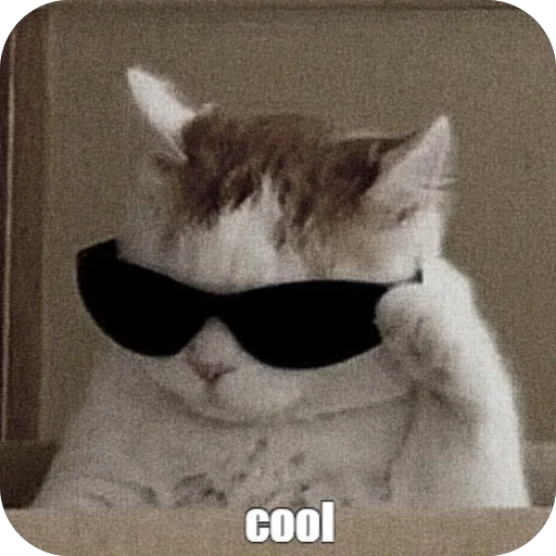 👍 Стикер «Meow Peow» для Telegram