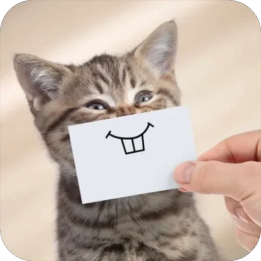 ☺️ Стикер «Meow Peow» для Telegram