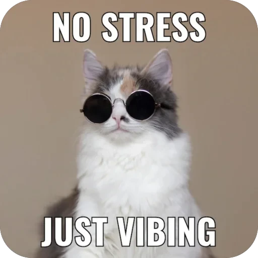 🥰 Стикер «Meow Peow» для Telegram