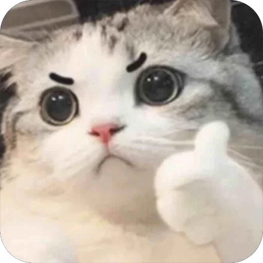 👍 Стикер «Meow Peow» для Telegram