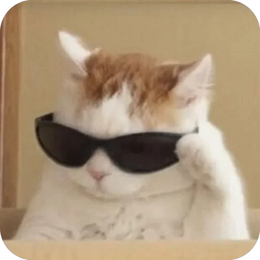 😎 Стикер «Meow Peow» для Telegram