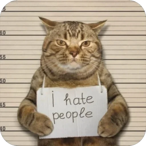 🙂 Стикер «Meow Peow» для Telegram