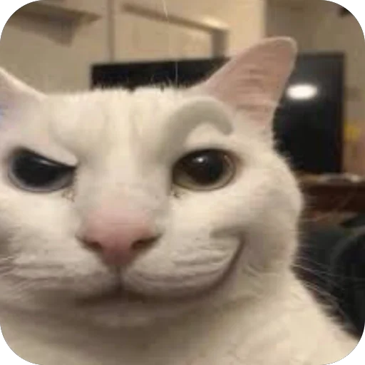😏 Стикер «Meow Peow» для Telegram