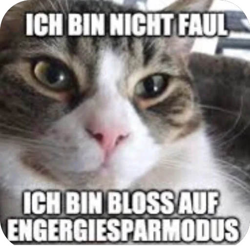😒 Стикер «Meow Peow» для Telegram