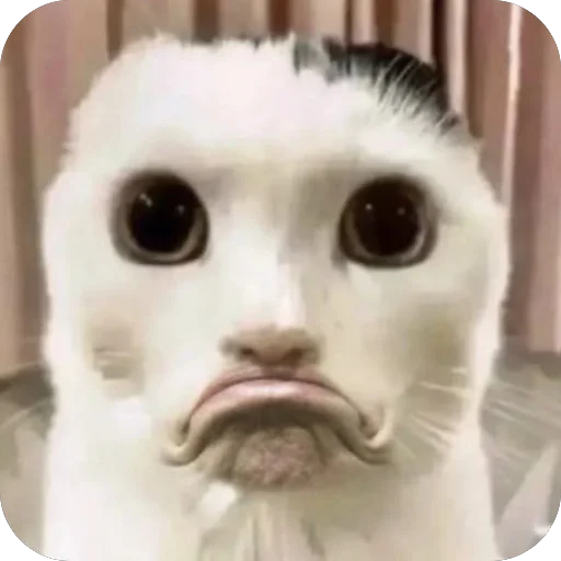 ☹️ Стикер «Meow Peow» для Telegram