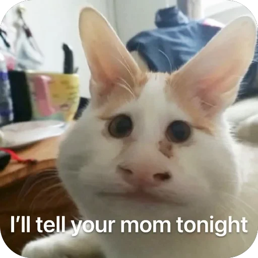 🖕 Стикер «Meow Peow» для Telegram
