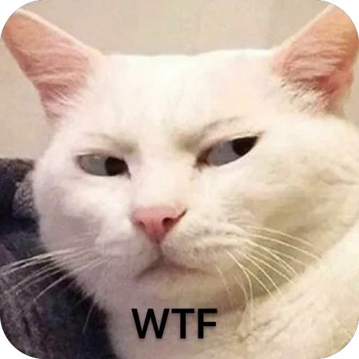 🤨 Стикер «Meow Peow» для Telegram
