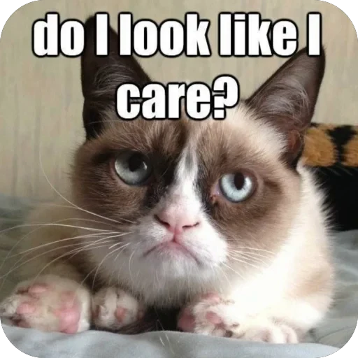 😕 Стикер «Meow Peow» для Telegram