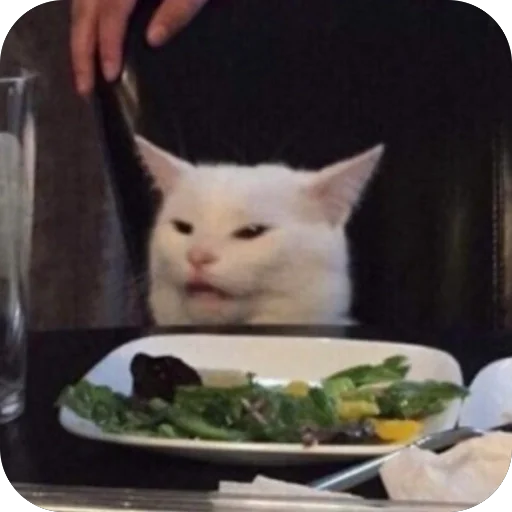 🍽️ Стикер «Meow Peow» для Telegram
