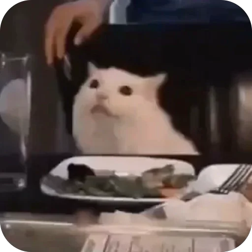 🍽️ Стикер «Meow Peow» для Telegram