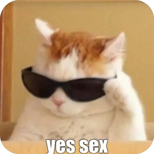 😼 Стикер «Meow Peow» для Telegram
