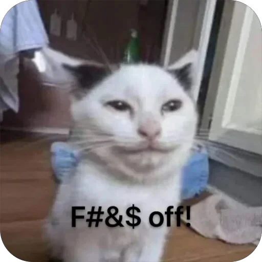 😒 Стикер «Meow Peow» для Telegram