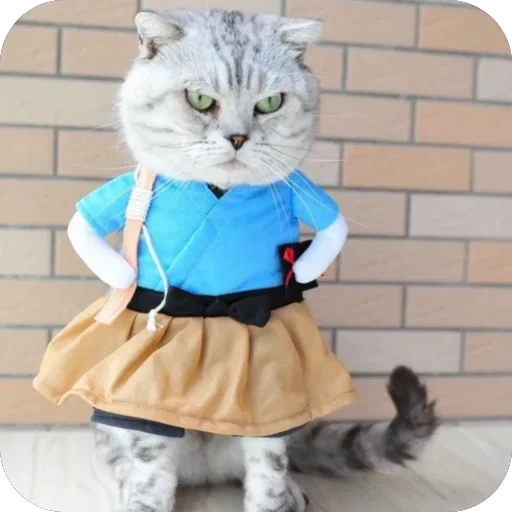 😠 Стикер «Meow Peow» для Telegram