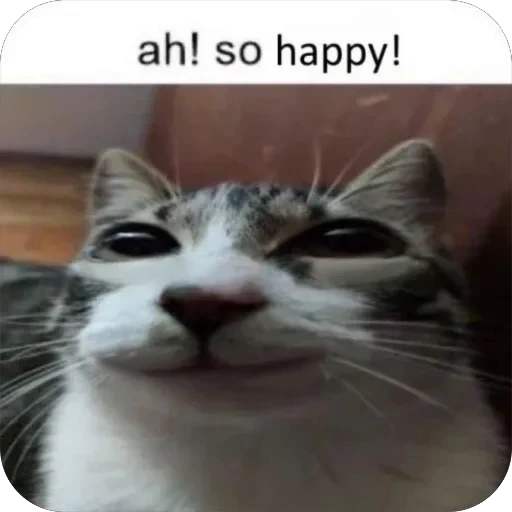 🥰 Стикер «Meow Peow» для Telegram