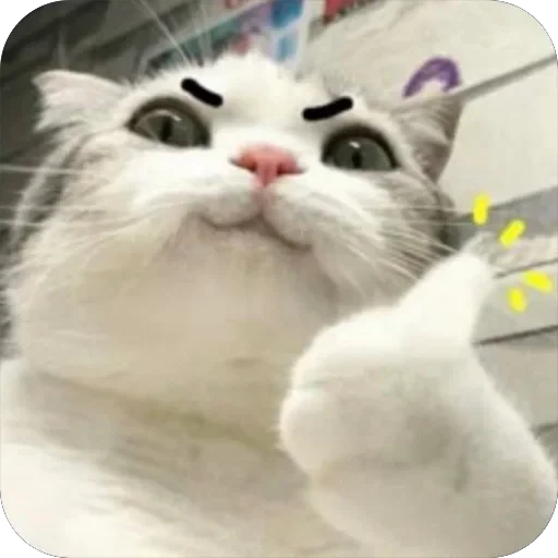 👍 Стикер «Meow Peow» для Telegram