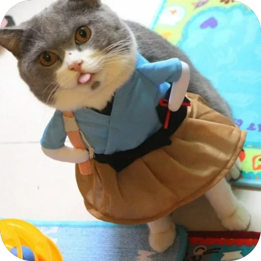 😌 Стикер «Meow Peow» для Telegram