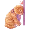 Стикер 7 Котёнок Мявс