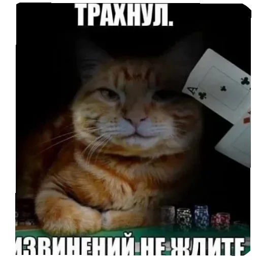 😽 Стикер «Людское» для Telegram