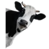 🐮 Эмодзи «Корова» для Telegram