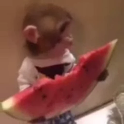 🍉 Стикер «Mənimki» для Telegram