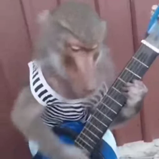 🎸 Стикер «Mənimki» для Telegram