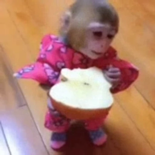 🐒 Стикер «Mənimki» для Telegram