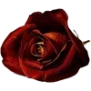 Стикер 49 Red