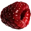 Стикер 53 Red