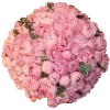 Стикер 4 Red