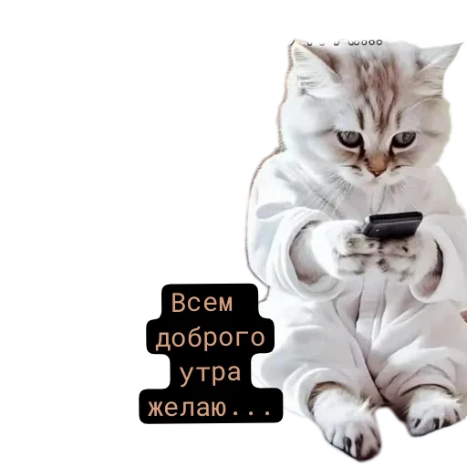 🐱 Стикер «Живность_N1» для Telegram