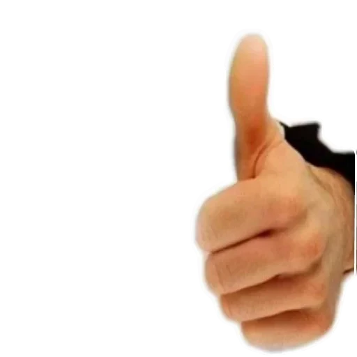 👍 Стикер «Живность_N1» для Telegram