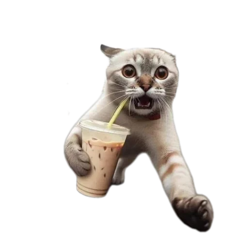 🐱 Стикер «Живность_N1» для Telegram
