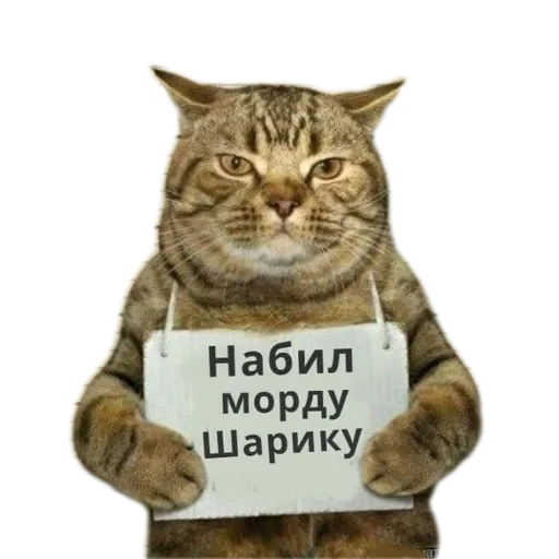 🐱 Стикер «Живность_N1» для Telegram