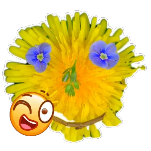 🙂 Стикер «Живность_N1» для Telegram