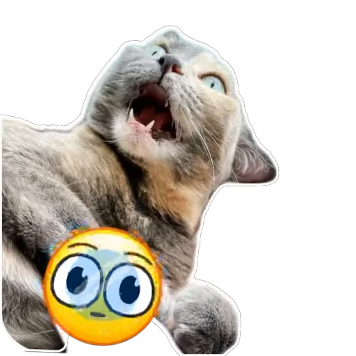 🐱 Стикер «Живность_N1» для Telegram