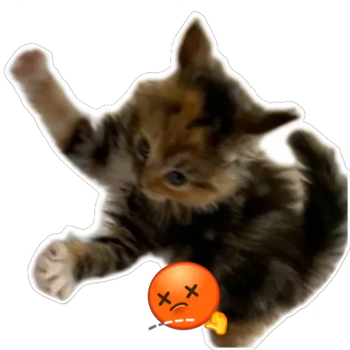 😡 Стикер «Живность_N1» для Telegram