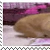 💮 Эмодзи «» для Telegram