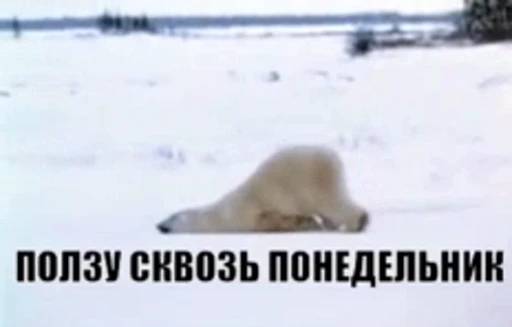 🤨 Стикер «Monday» для Telegram